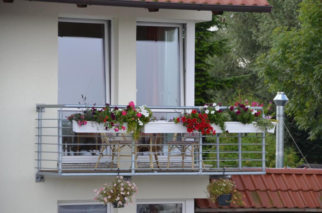 Hotel Zur Bruecke Greifswald Eksteriør billede